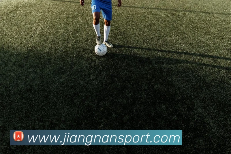 多媒体互动体验