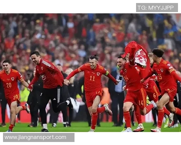 英媒称威尔士主帅贝拉米推荐拜仁关注卡迪夫城19岁后卫劳勒